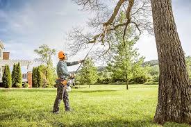 Best Leaf Removal  in Hallettsville, TX